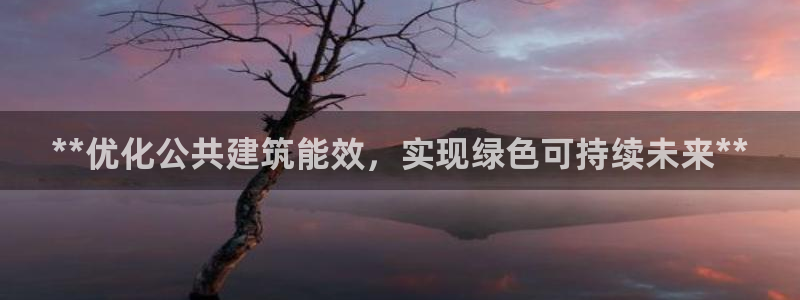 e尊国际客户端下载：**优化公共建筑能效，实现绿色可持续未来**