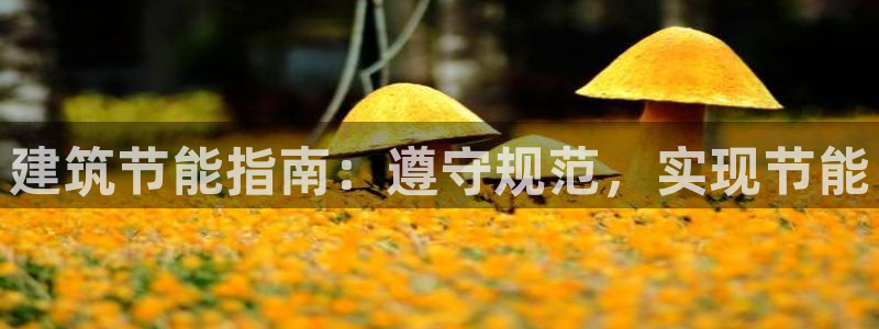e尊国际平台：建筑节能指南：遵守规范，实现节能