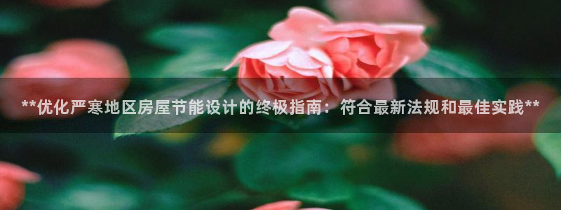 e尊国际官网：**优化严寒地区房屋节能设计的终极指南：符合最新法规和最佳实践**