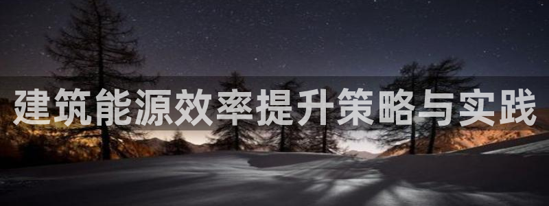 e尊国际平台：建筑能源效率提升策略与实践