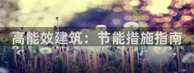 e尊国际官网·网址：高能效建筑：节能措施指南