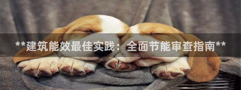 e尊国际官网·网址：**建筑能效最佳实践：全面节能审查指南**