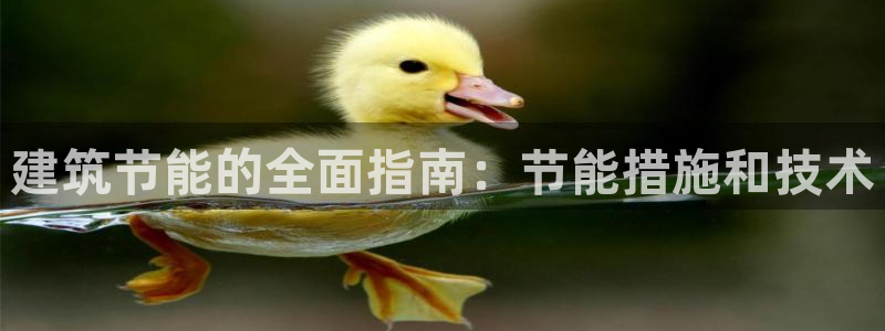 e尊国际网址：建筑节能的全面指南：节能措施和技术