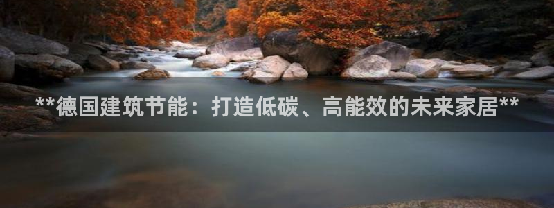 e尊国际客户端：**德国建筑节能：打造低碳、高能效的未来家居**