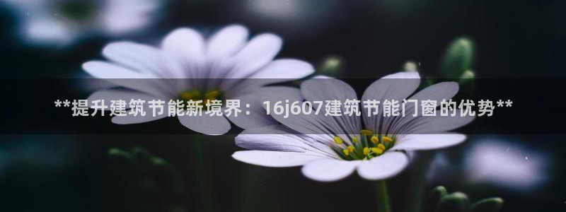 e尊国际官网app：**提升建筑节能新境界：16j607建筑节能门窗的优势**