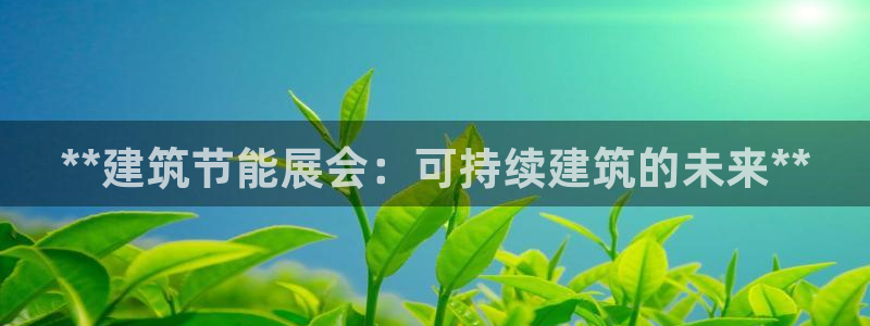 e尊国际娱乐官网地址：**建筑节能展会：可持续建筑的未来**