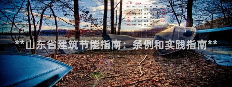 e尊国际娱乐官网下载：**山东省建筑节能指南：条例和实践指南**