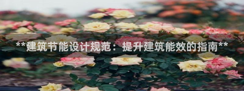 e尊国际官网app：**建筑节能设计规范：提升建筑能效的指南**