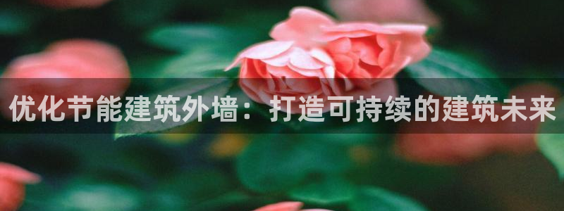 e尊国际-可可计划：优化节能建筑外墙：打造可持续的建筑未来