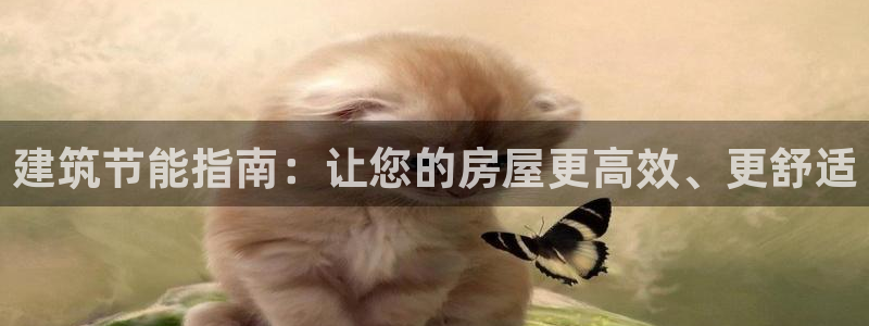 e尊国际官网：建筑节能指南：让您的房屋更高效、更舒适