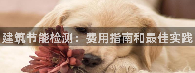 尊亿游戏国际官网：建筑节能检测：费用指南和最佳实践