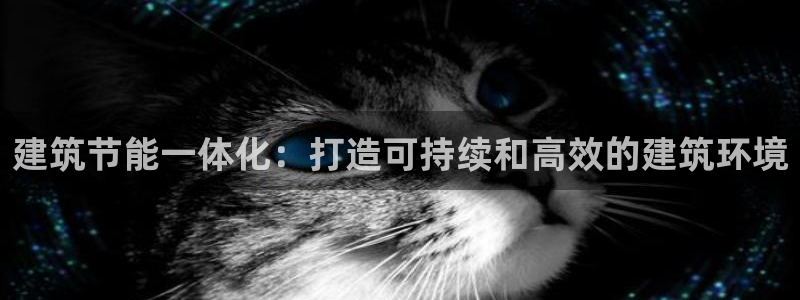 谁知道e尊国际的网址：建筑节能一体化：打造可持续和高效的建筑环境