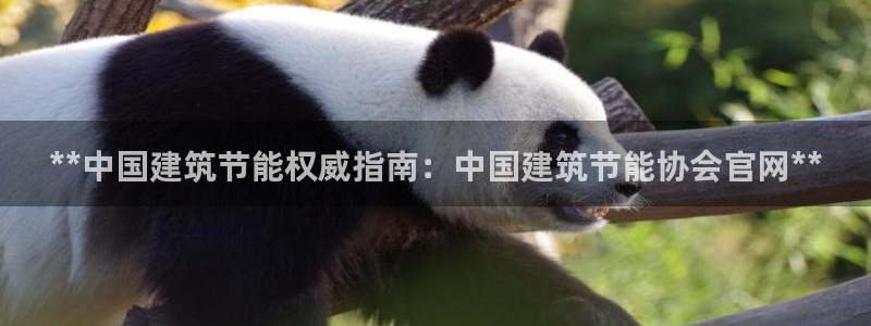 e尊国际客户端下载：**中国建筑节能权威指南：中国建筑节能协会官网**