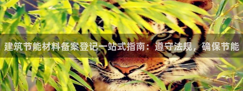 e尊国际娱乐官网地址：建筑节能材料备案登记一站式指南：遵守法规，确保节能