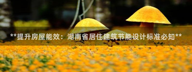 e尊官网：**提升房屋能效：湖南省居住建筑节能设计标准必知**