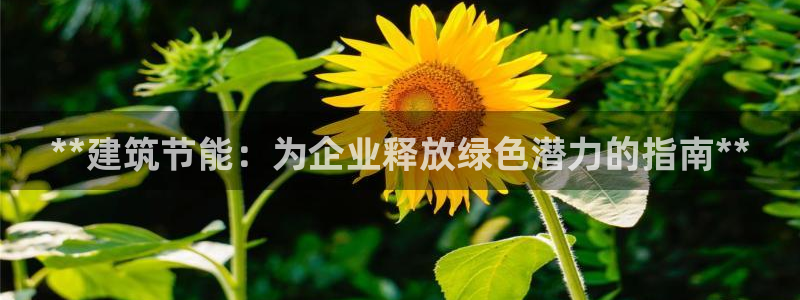 尊亿娱乐国际官网：**建筑节能：为企业释放绿色潜力的指南**