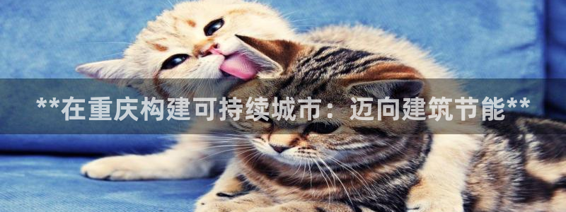 e尊国际地址：**在重庆构建可持续城市：迈向建筑节能**