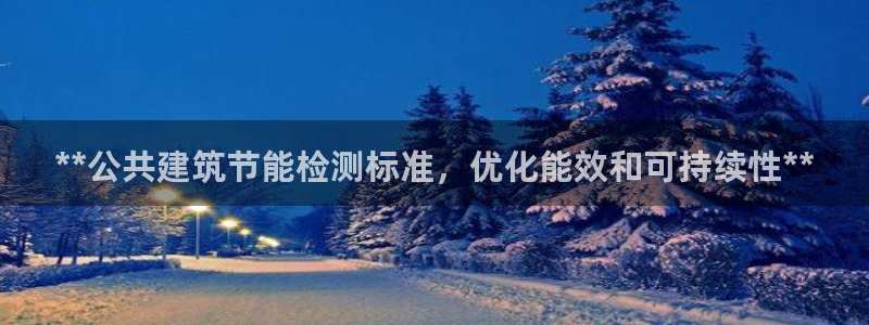 e尊国际网址：**公共建筑节能检测标准，优化能效和可持续性**