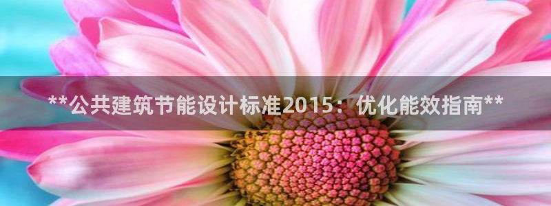 e尊国际-e尊国际官网：**公共建筑节能设计标准2015：优化能效指南**