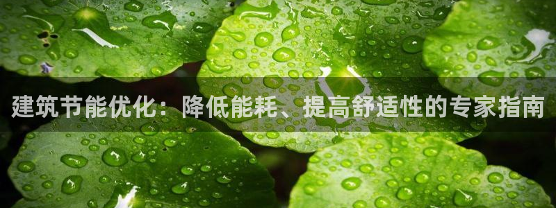 e尊官网：建筑节能优化：降低能耗、提高舒适性的专家指南