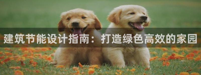 e尊国际客户端：建筑节能设计指南：打造绿色高效的家园