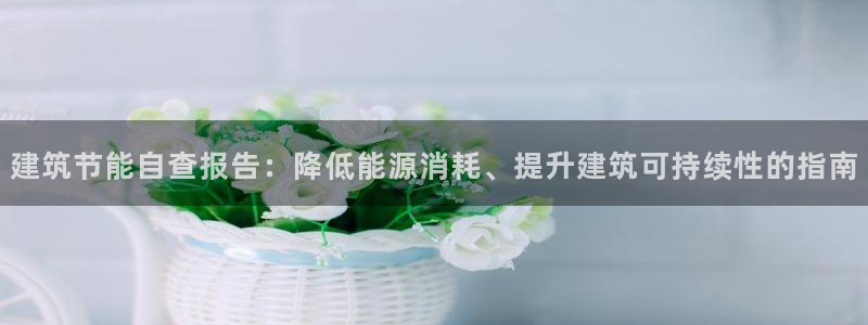 e尊平台：建筑节能自查报告：降低能源消耗、提升建筑可持续性的指南