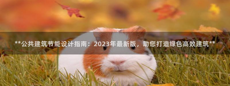 e尊平台：**公共建筑节能设计指南：2023年最新版，助您打造绿色高效建筑**