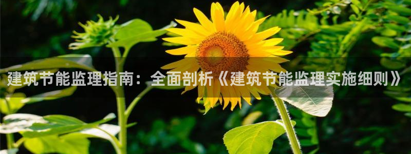 e尊国际官网：建筑节能监理指南：全面剖析《建筑节能监理实施细则》
