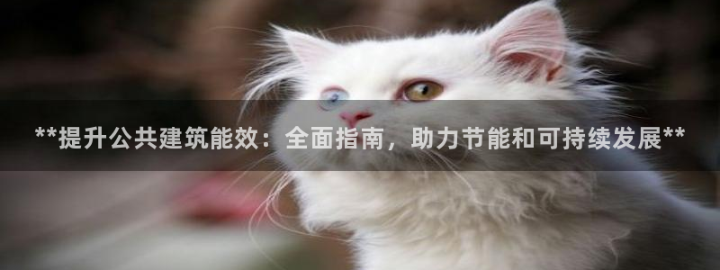 尊亿娱乐国际官网：**提升公共建筑能效：全面指南，助力节能和可持续发展**