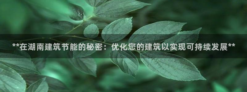 e尊平台：**在湖南建筑节能的秘密：优化您的建筑以实现可持续发展**