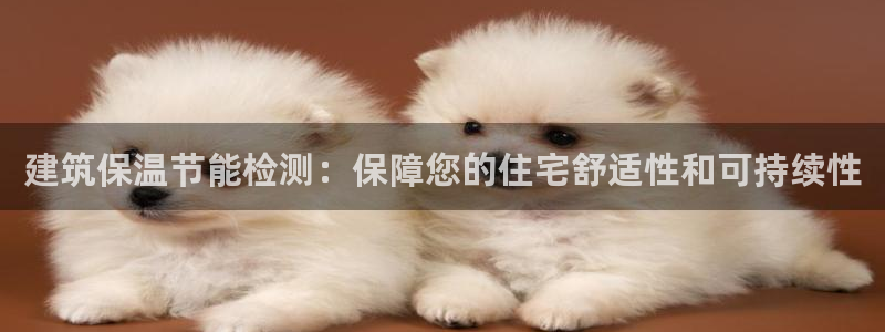 e尊国际平台：建筑保温节能检测：保障您的住宅舒适性和可持续性