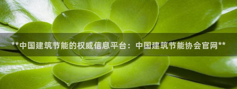 尊亿娱乐国际官网：**中国建筑节能的权威信息平台：中国建筑节能协会官网**