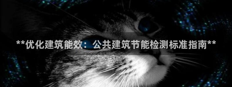 e尊官网：**优化建筑能效：公共建筑节能检测标准指南**