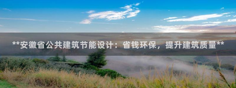 e尊国际官网：**安徽省公共建筑节能设计：省钱环保，提升建筑质量**