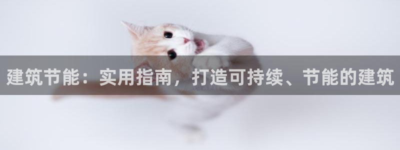 E尊国际：建筑节能：实用指南，打造可持续、节能的建筑