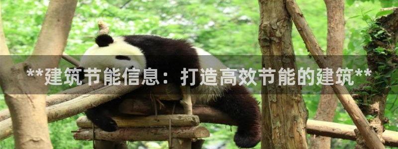 E尊国际网站：**建筑节能信息：打造高效节能的建筑**