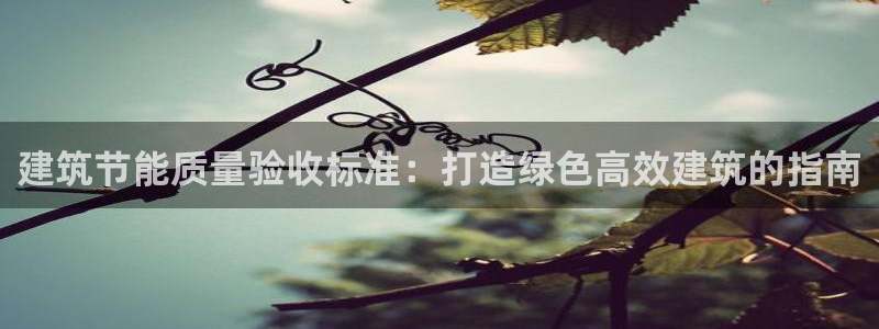 谁知道e尊国际的网址：建筑节能质量验收标准：打造绿色高效建筑的指南