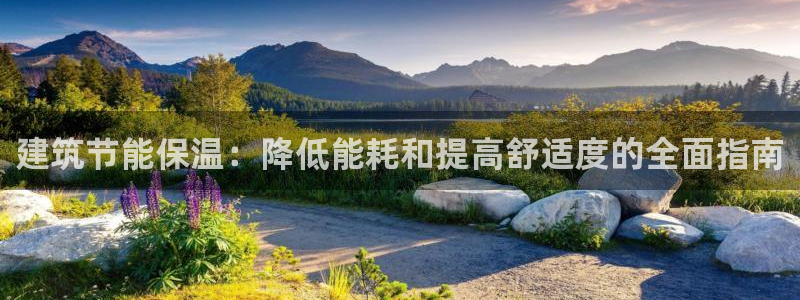 e尊国际客户端下载：建筑节能保温：降低能耗和提高舒适度的全面指南