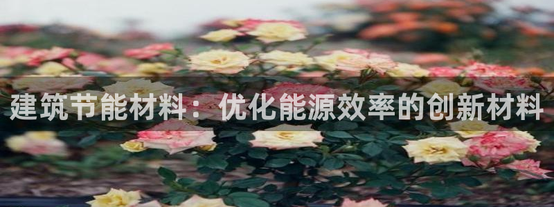 e尊国际客服：建筑节能材料：优化能源效率的创新材料