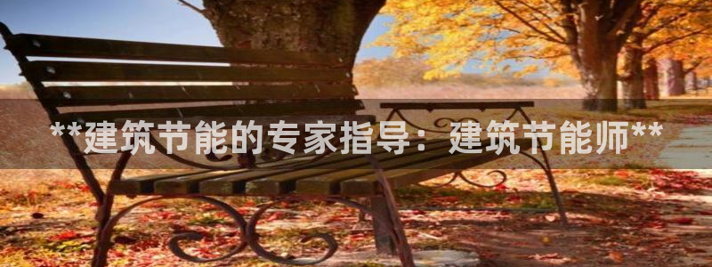 e尊国际的手机登录网站：**建筑节能的专家指导：建筑节能师**