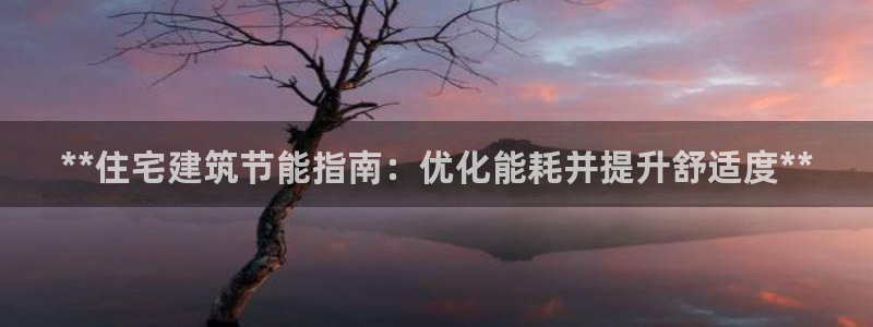 E尊国际网站：**住宅建筑节能指南：优化能耗并提升舒适度**