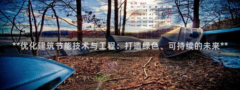 e尊国际官网：**优化建筑节能技术与工程：打造绿色、可持续的未来**