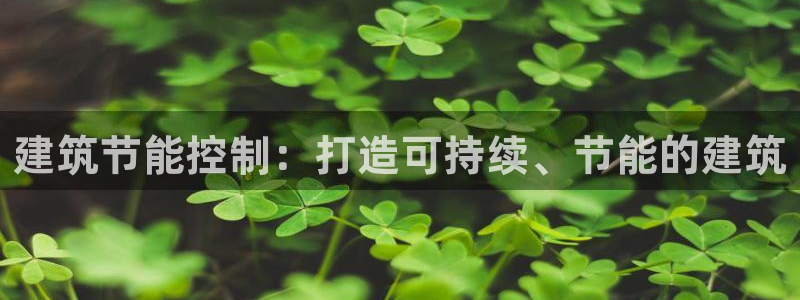e尊国际app：建筑节能控制：打造可持续、节能的建筑