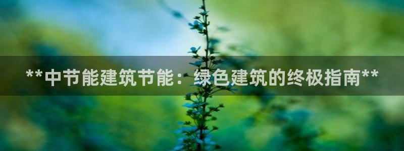 E尊国际网站：**中节能建筑节能：绿色建筑的终极指南**