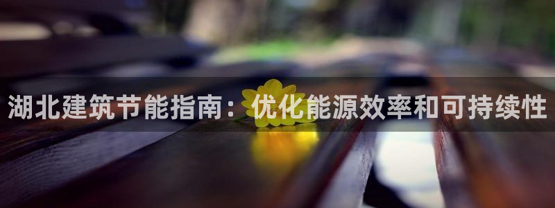 e尊国际的手机登录网站：湖北建筑节能指南：优化能源效率和可持续性