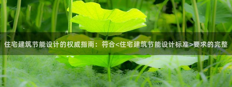 e尊国际app：住宅建筑节能设计的权威指南：符合<住宅建筑节能设计标准>要求的完整