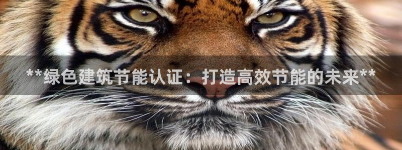 谁知道e尊国际的网址：**绿色建筑节能认证：打造高效节能的未来**