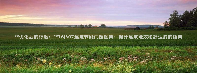 e尊国际-可可计划：**优化后的标题：**16J607建筑节能门窗图集：提升建筑能效和舒适度的指南