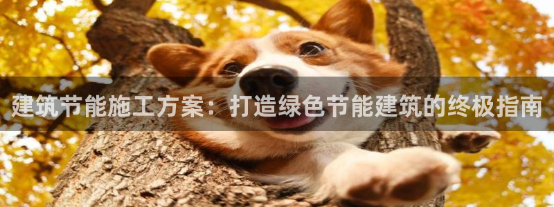 e尊国际客户端：建筑节能施工方案：打造绿色节能建筑的终极指南