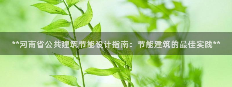 E尊国际网站：**河南省公共建筑节能设计指南：节能建筑的最佳实践**